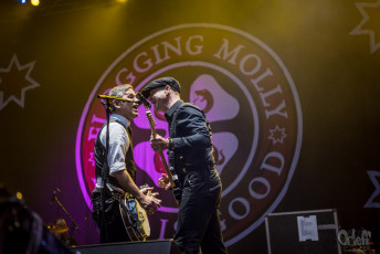 Flogging Molly @ INmusic festival, 2017