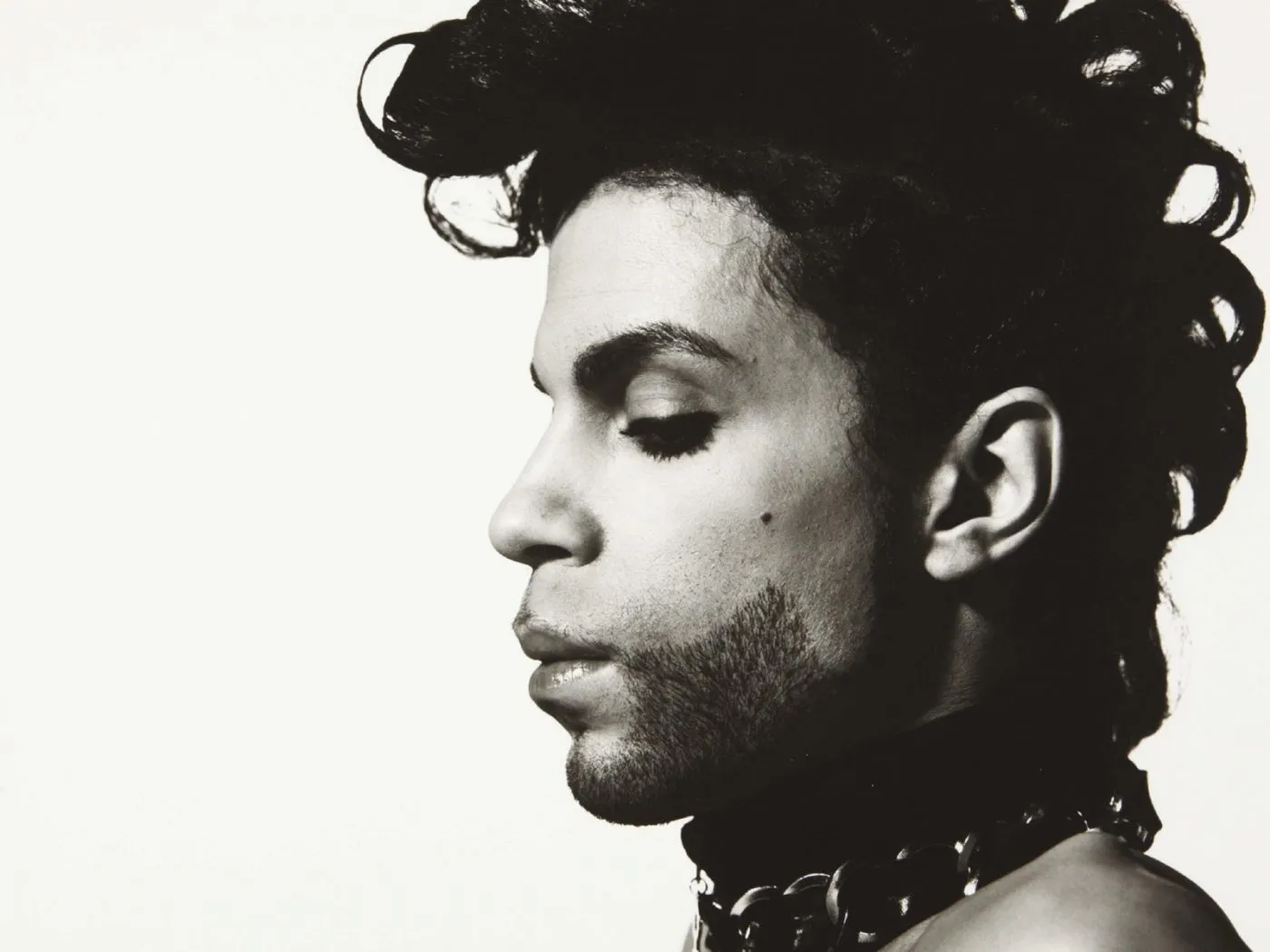 368248 prince 368248-prince