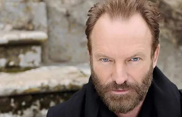 2016129 sting 2016129-sting