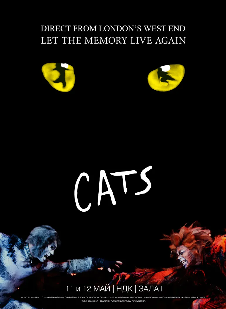 2017.05.11 12 Cats 2017.05.11-12 Cats