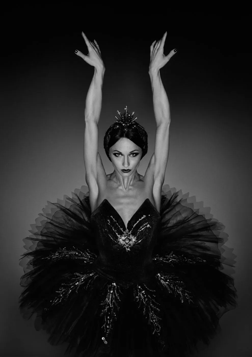 Erwin Olaf Swan Erwin-Olaf-Swan