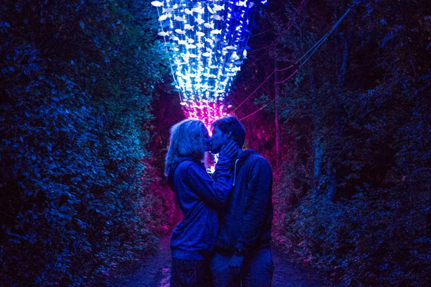 majorkata sziget 4988 Sziget 2016