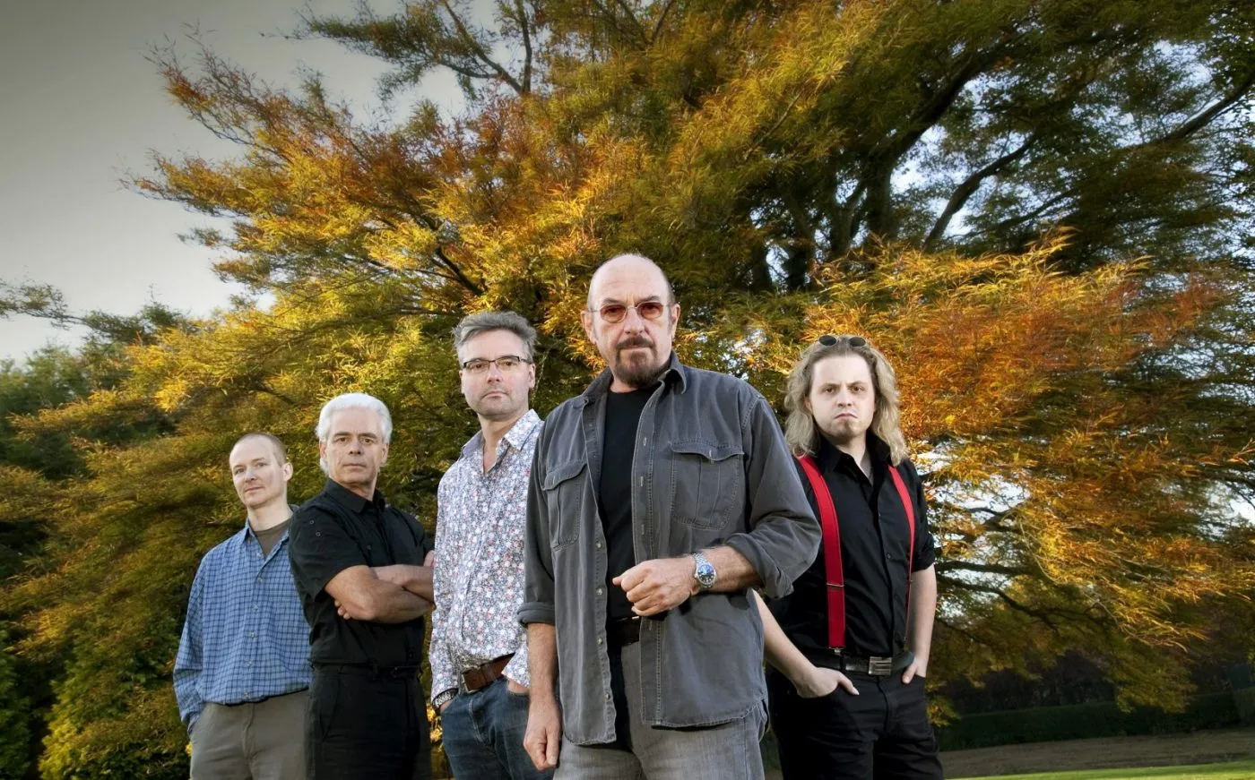 Band tree large Jethro Tull 2011