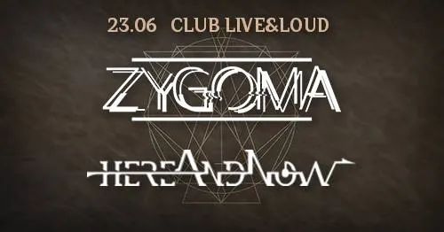 zygoma hereandnow zygoma hereandnow