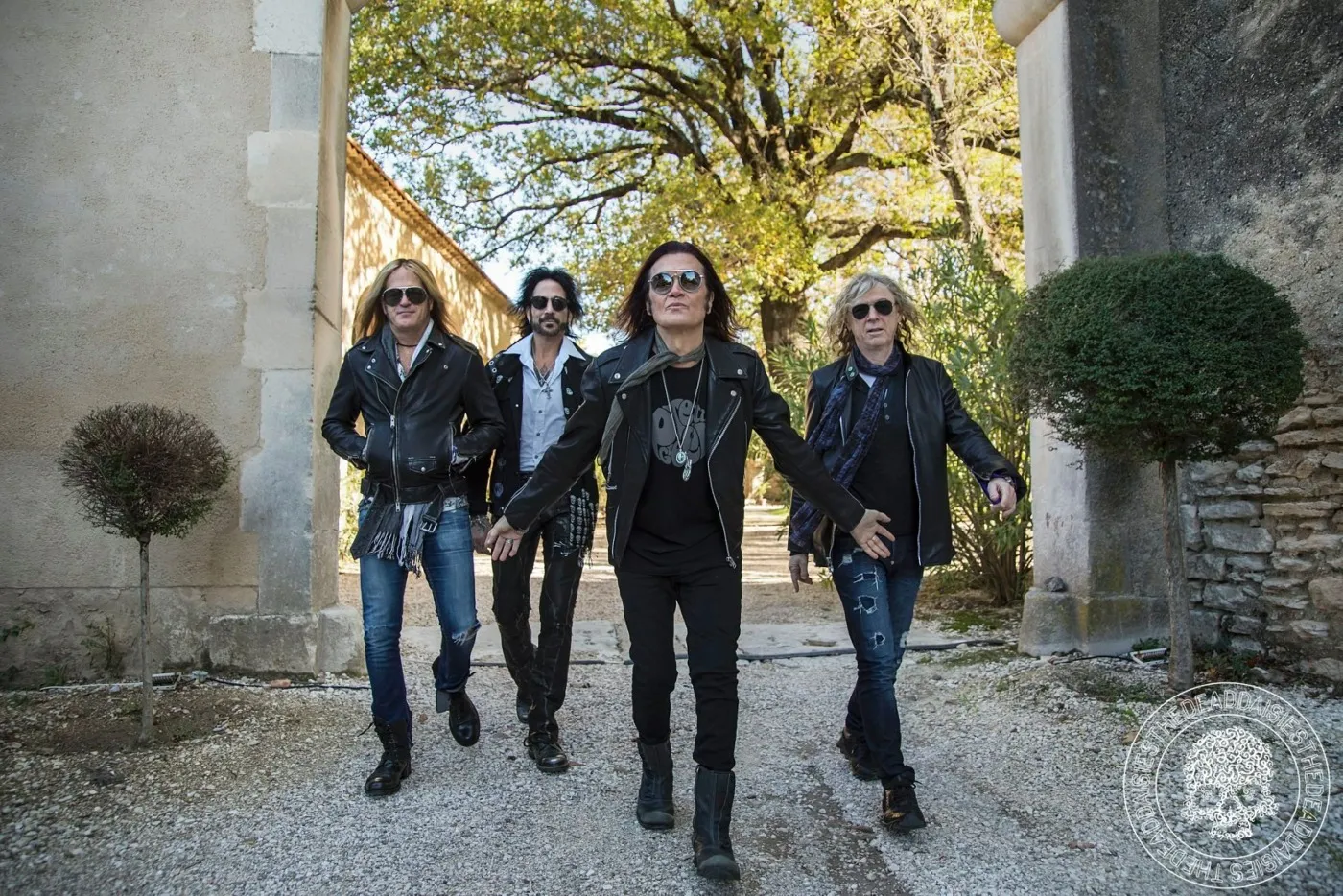 the dead daisies the dead daisies