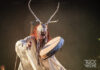 Heilung @ Rockstadt Extreme Fest, 2023