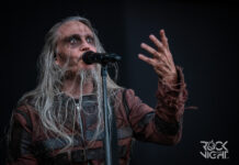 Pain @ Hills Of Rock Festival, 2024