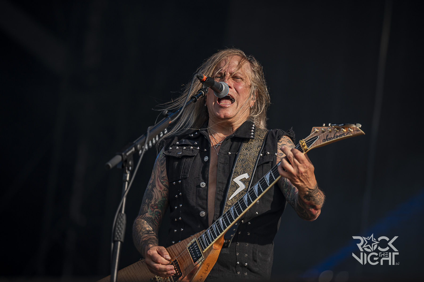 savatage 9173 Savatage @ Hellfest, 2025
