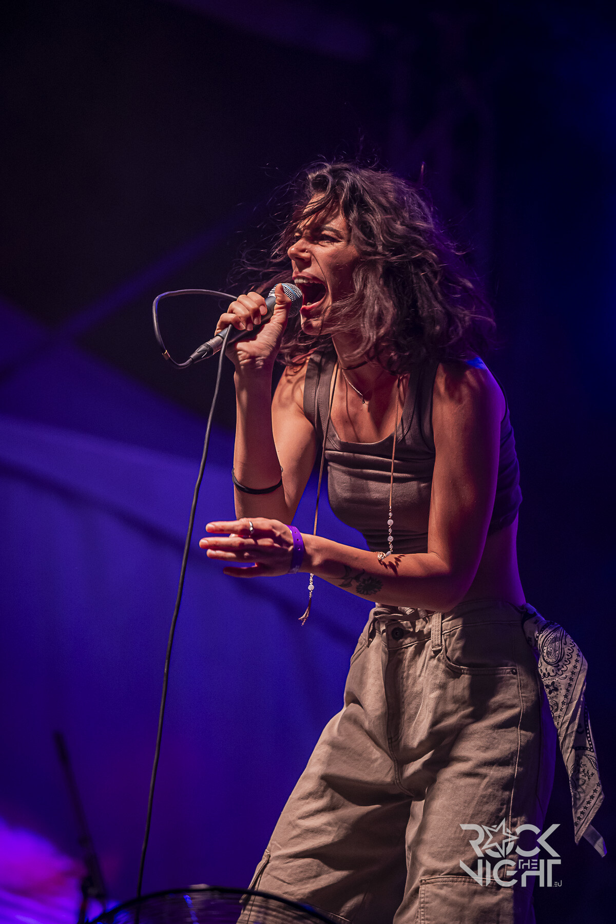 revu 6292 Ревю @ Hills Of Rock Festival, 2025