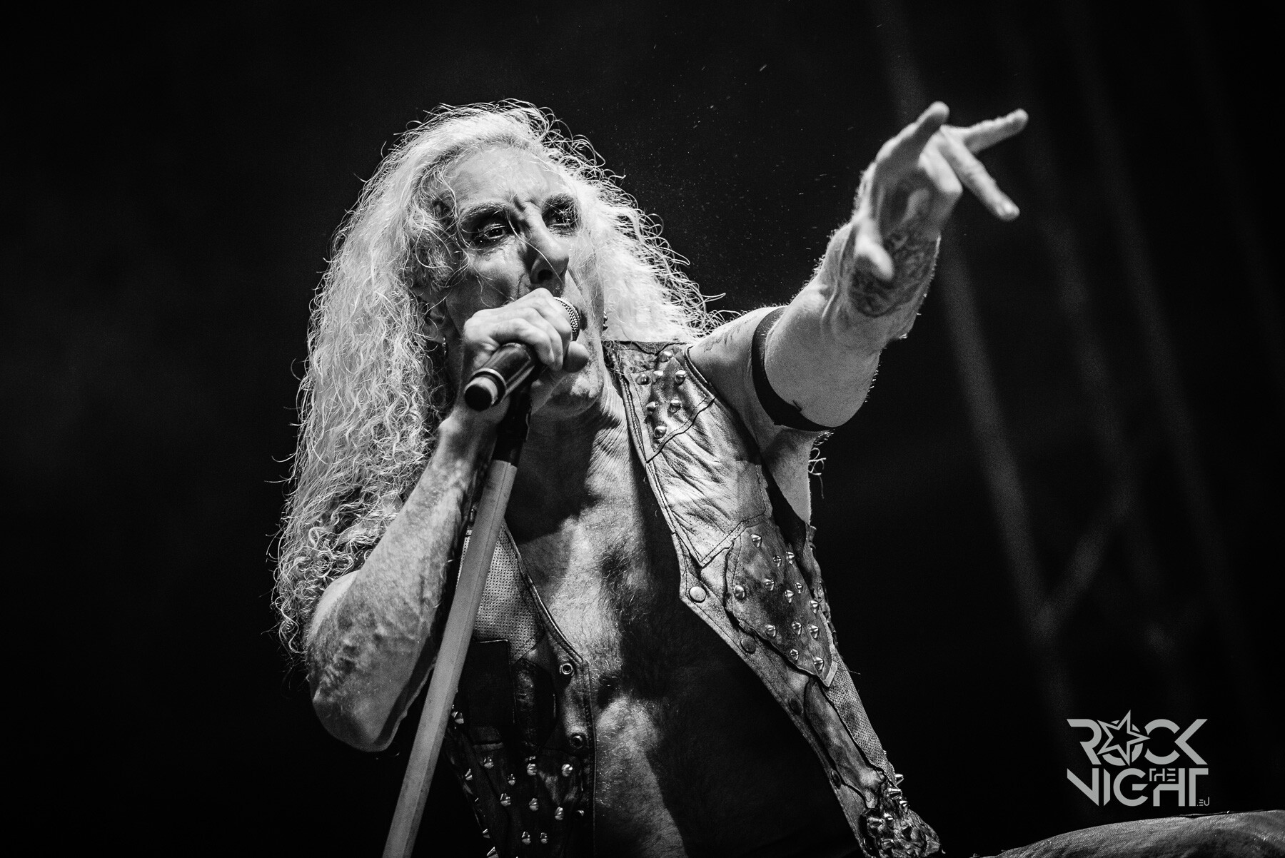 twisted sister 7865 twisted sister 7865